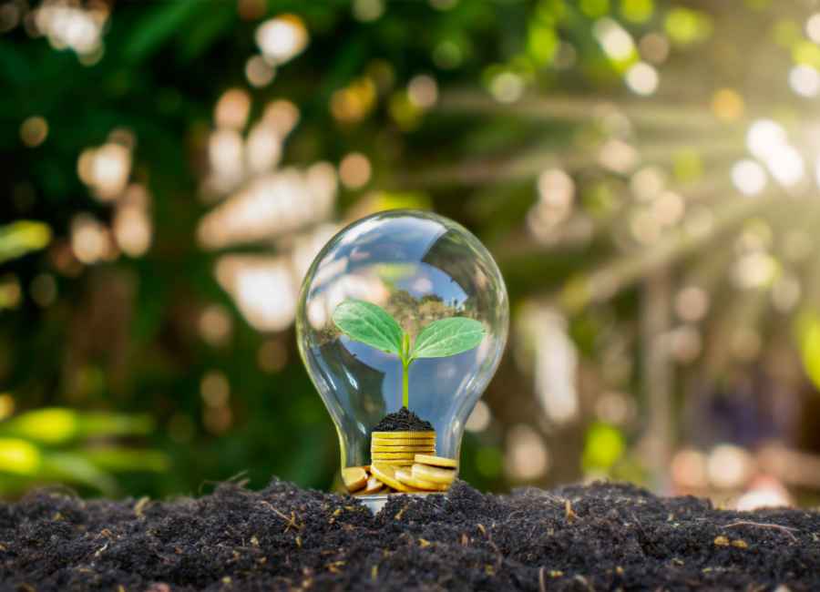 Optimización de la factura de la luz Optimización de la factura de la luz